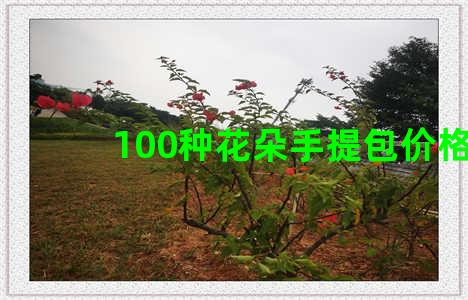 100种花朵手提包价格