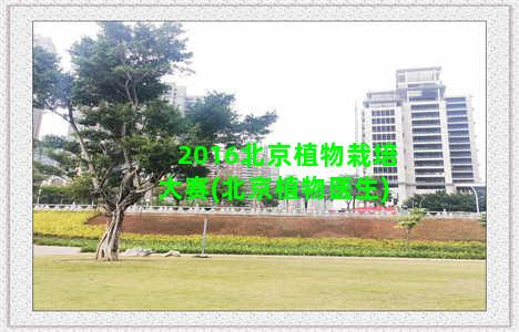 2016北京植物栽培大赛(北京植物医生)