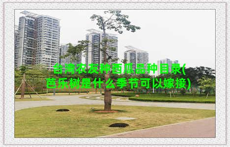 台湾农友种西瓜品种目录(芭乐树是什么季节可以嫁接)