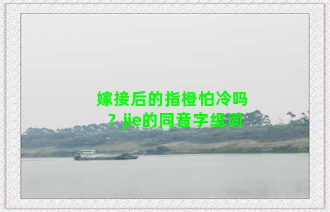 嫁接后的指橙怕冷吗？jie的同音字组词