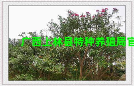 广西上林县特种养殖局官网