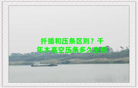 扦插和压条区别？千年木高空压条多久生根