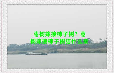 枣树嫁接柿子树？枣树嫁接柿子树结什么果