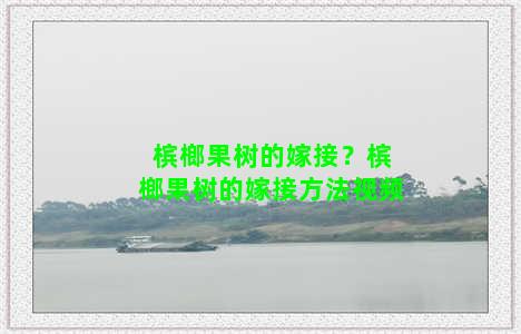 槟榔果树的嫁接？槟榔果树的嫁接方法视频