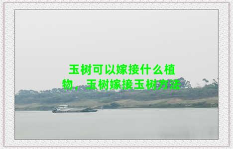 玉树可以嫁接什么植物，玉树嫁接玉树方法