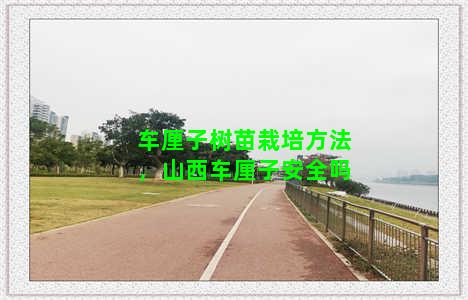 车厘子树苗栽培方法，山西车厘子安全吗